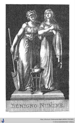 1799: Taschenbuch für Damen