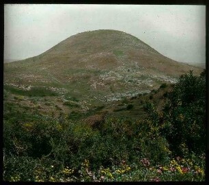 Berg Tabor