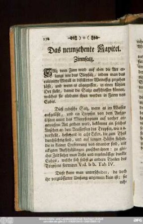 Das neunzehente Kapitel. Zinnsalz.