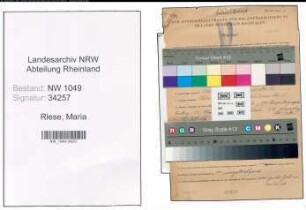 Entnazifizierung Maria Riese , geb. 05.11.1901 (Lehrerin)
