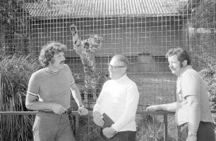 Verkauf von sibirischen Tigern aus dem Karlsruher Zoo an den Zoo in Bern