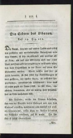 Taf. 19. Fig. 112. - 113. Die Cedern des Libanon