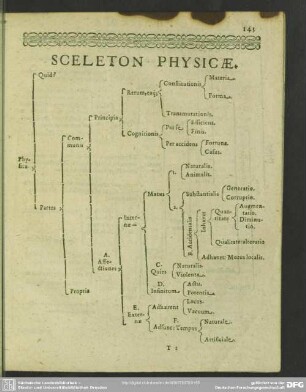 Sceleton Physicae