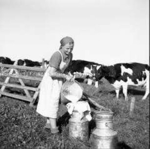 Arbeitsmaid des Reichsarbeitsdienstes beim Durchseien der Milch auf der Weide