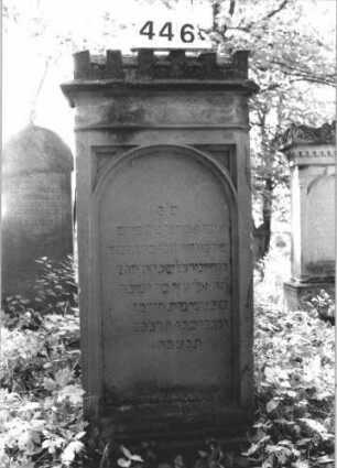 Grabstein 446