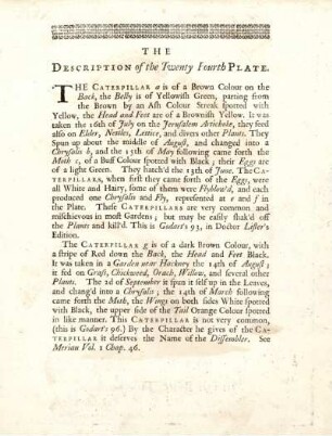 The Description of the Twenty Fourth Plate