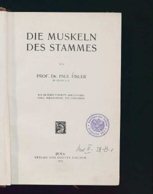 Die Muskeln des Stammes : mit 106 meist farbigen Abbildungen nach Zeichnungen des Verfassers