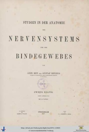 Zweite Hälfte: Studien in der Anatomie des Nervensystems und des Bindegewebes