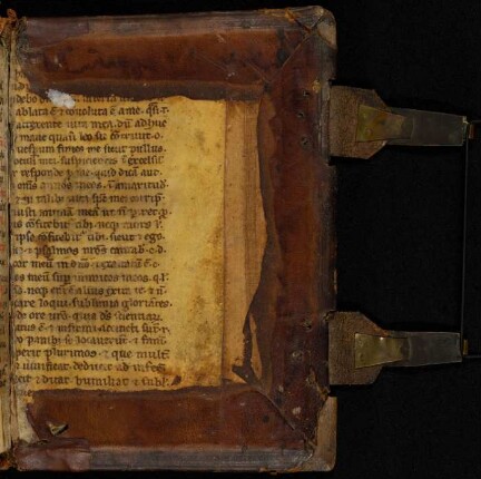 Fragment: Psalterium (13. Jh., 2. Hälfte, siehe auch vorderer Spiegel)