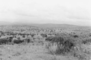 Savanne (Äthiopienreise 1937/1938 - 7. Flugreise nach Dembi Dolo und Ausflüge ins Umland)
