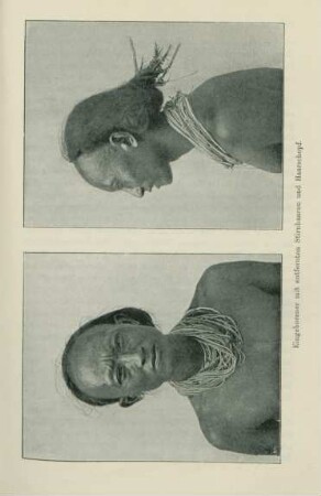 Eingeborener mit entfernten Stirnhaaren und Haarschopf