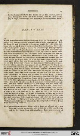 Tafel XXIX bis XXXII: Hölzerne und steinerne freytragende und andere Treppen, nebst ihren Grundrissen, Profilen und Austheilungsarten