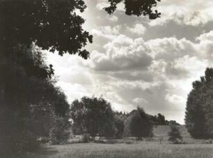 Wesenitztal bei Großhartau. Auenlandschaft