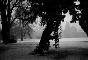 Winterstimmung im Botanischen Garten