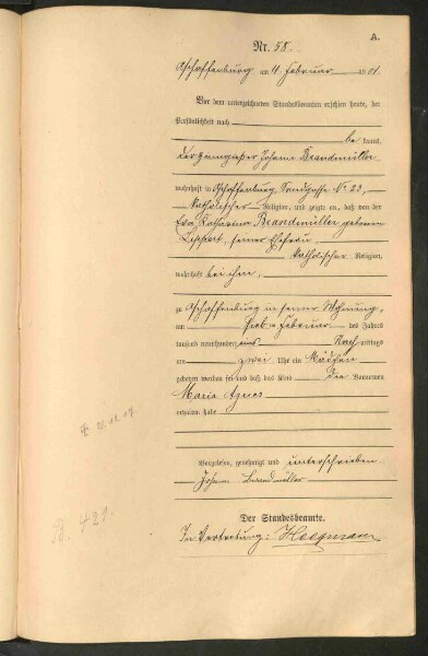 Standesamtsbuch der Stadt Aschaffenburg: Geburten 365/1900 - 184/1901