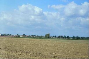 Blick zum Ort über ein Feld; Pappelreihe