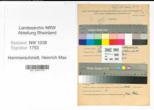 Entnazifizierung Heinrich Max Hammerschmidt , geb. 31.12.1906 (Eisenwarenhaendler)