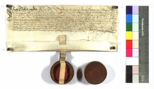 Aussteller: Johann, Bischof von Konstanz