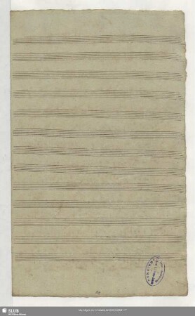 Violon