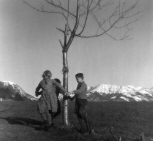 Kinderbilder. Kinder beim Ringelreihen um einen Baum