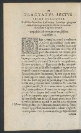 Tractatus Sextus Primi Sermonis.