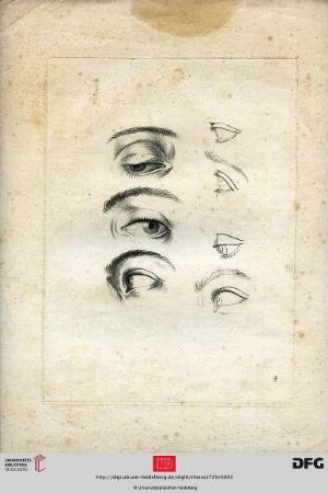 Taf. 4 [Augen (Kontur; Schraffur)]