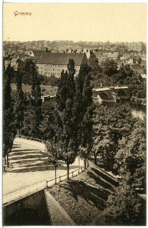 Grimma. Blick auf Grimma