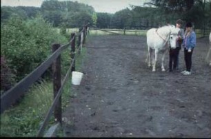 Fotografie: Pferdehaltung, Auslauf, Weidehaltung