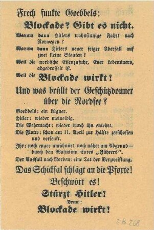 Propagandaflugblätter, die über Heilbronn abgeworfen wurden