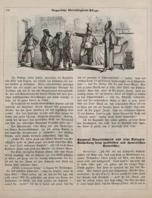 "Ungarische Gerechtigkeits-Pflege"