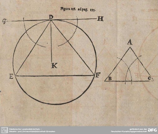 Figura 118. ad pag. 195.