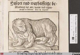 [Bär]