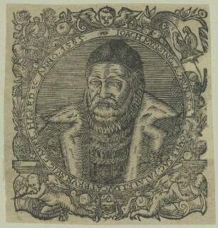 Bildnis des Joachim Mynsinger von Frundeck
