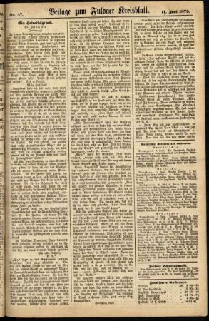 Zweite Ausgabe vom Mittwoch, den 11. Juni 1879.