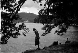 Titisee: Ufer am Titisee (mit Margitta Reisch)