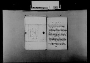 Schreiben von Georg Philipp Hilspach, Bammental, an August Lamey: Bewerbung des Neffen von Hilspach, Adolph Schumacher, um eine Straßenmeisterstelle.