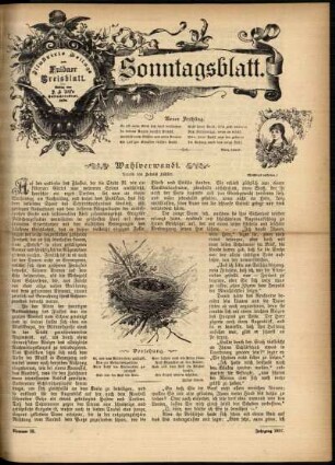Ausgabe vom Sonntag, den 30. Mai 1897.