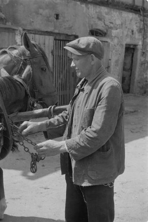 Landwirt mit seinem Pferd. : Ratar z konjom.