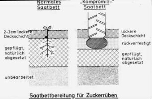 Saatbettbereitung für Zuckerrüben