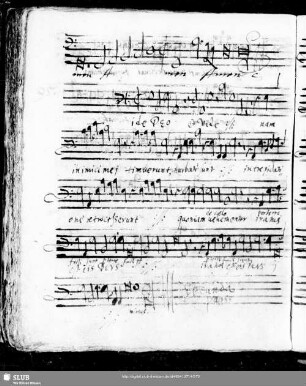 95 Anonymus: Fide Deo et vide