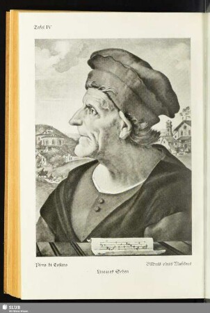 Piero di Cosimo: Bildnis eines Musikers. Lineares Sehen