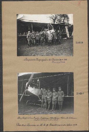 bayer. Flieger