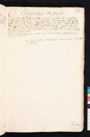 Veit Hirschvogel, der Ältere, Glasmaler