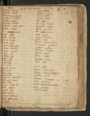 Fasz. VIII: Glossarium