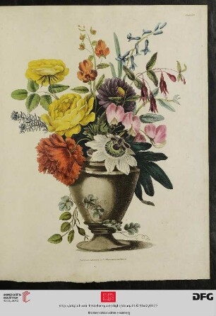 [Plate 123-126] Plate 119-122 [Vers. Blumenbouquetts (koloriert)]