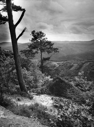 Berglandschaft
