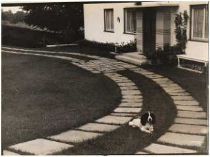 Garten von Dombois, Ermatingen am Bodensee: Vorgarten, gebogener Plattenweg mit Hund