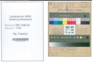 Entnazifizierung Friedrich Pip , geb. 17.08.1900 (Beamter)