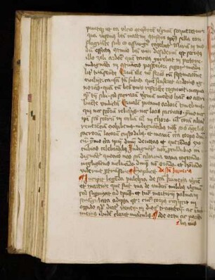 De sancta Cunera. Legenda, Translatio et Miracula.