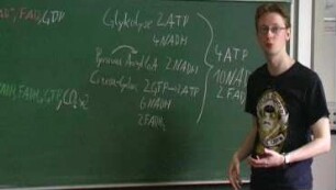 Die Chemie des Weines I: Herstellung des Weines und aerober Stoffwechsel